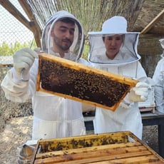 UAE Bees Association UAE Bees Association